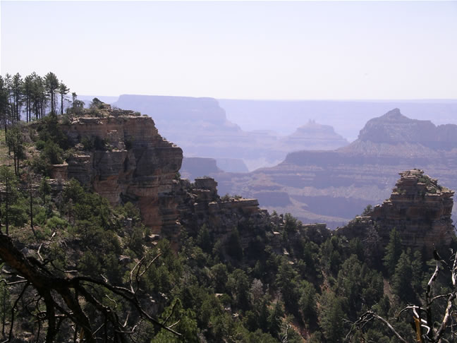 images/Hiking North Rim- Widforss Trail (18).jpg